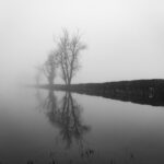 Flood and Fog_Greg Gillies
