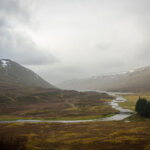 Ian Watson_GreyGarry