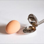 Neil Scott_Egg and Spoon Race