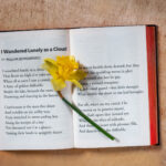 Neil Scott_Poetic Daffodil